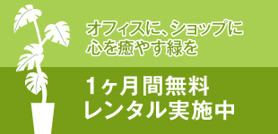 グリーンレンタルイメージ